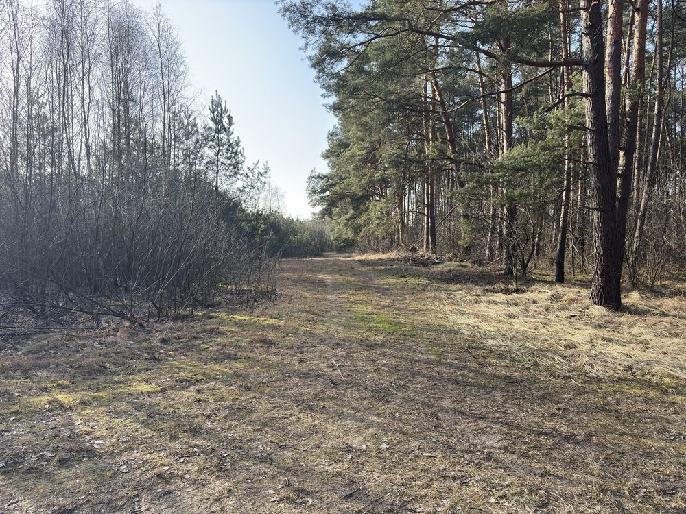 Działka budowlana Lisak. Zdjęcie 1