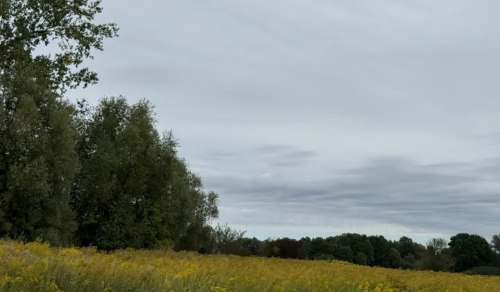 Działka budowlana Pieszków, ul. Topazowa
