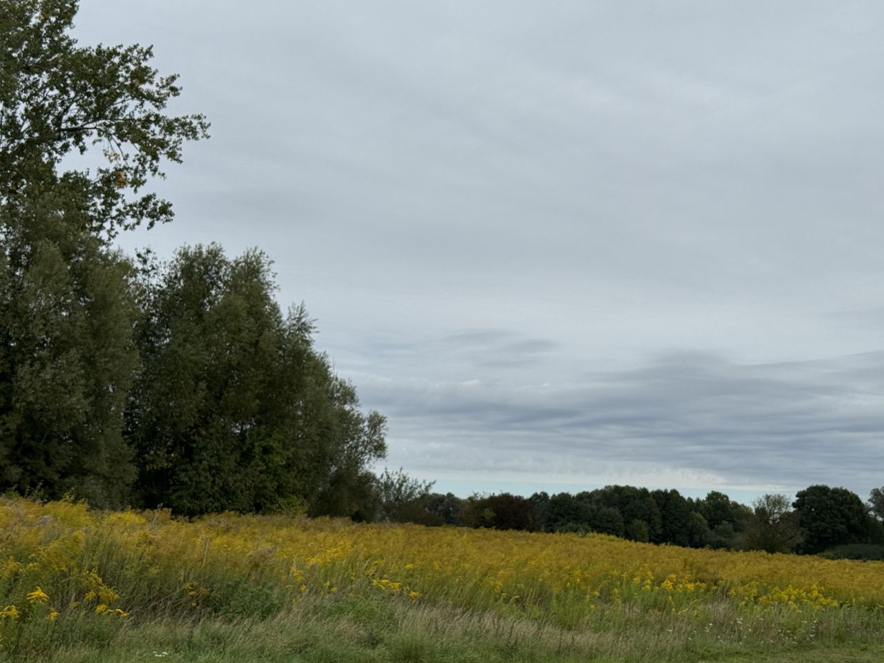 Działka budowlana Pieszków, ul. Topazowa. Zdjęcie 1