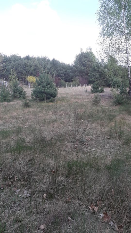 Działka rolno-budowlana Jasionna. Zdjęcie 5