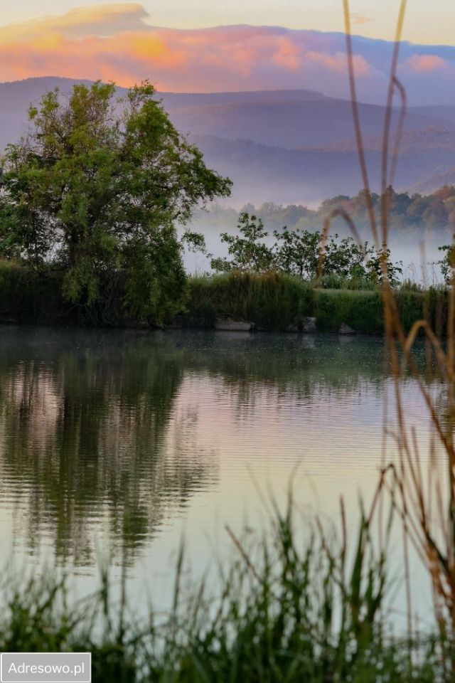 Lokal Dziwiszów, ul. Karkonoska. Zdjęcie 2