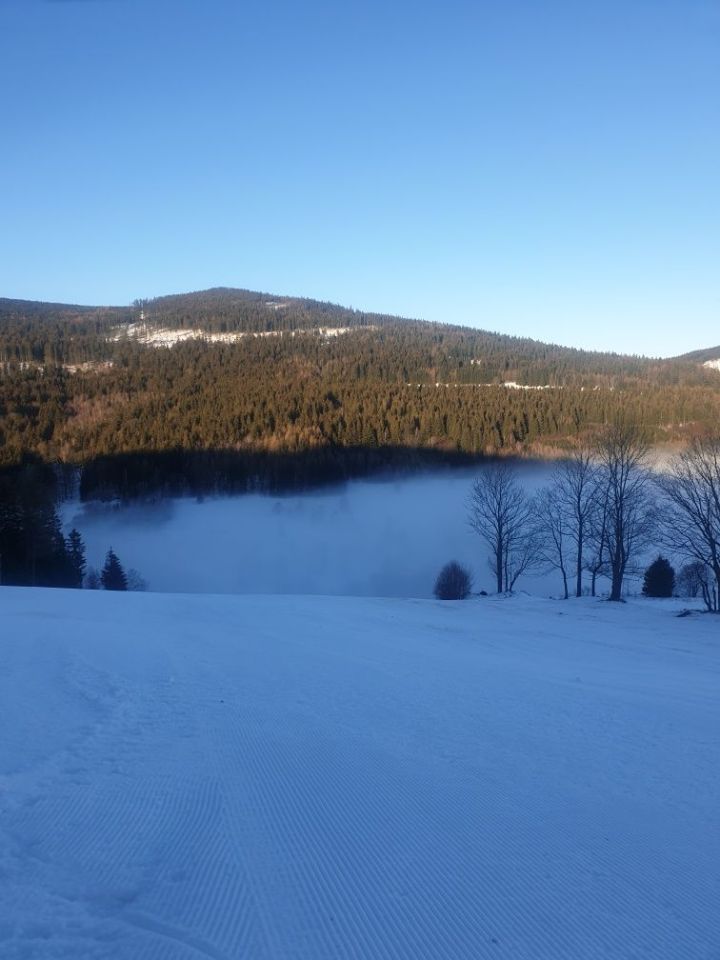 Działka rolna Bolesławów. Zdjęcie 4