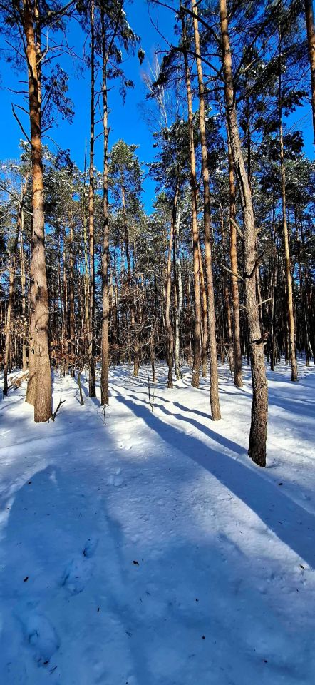 Działka rekreacyjna Laski. Zdjęcie 2