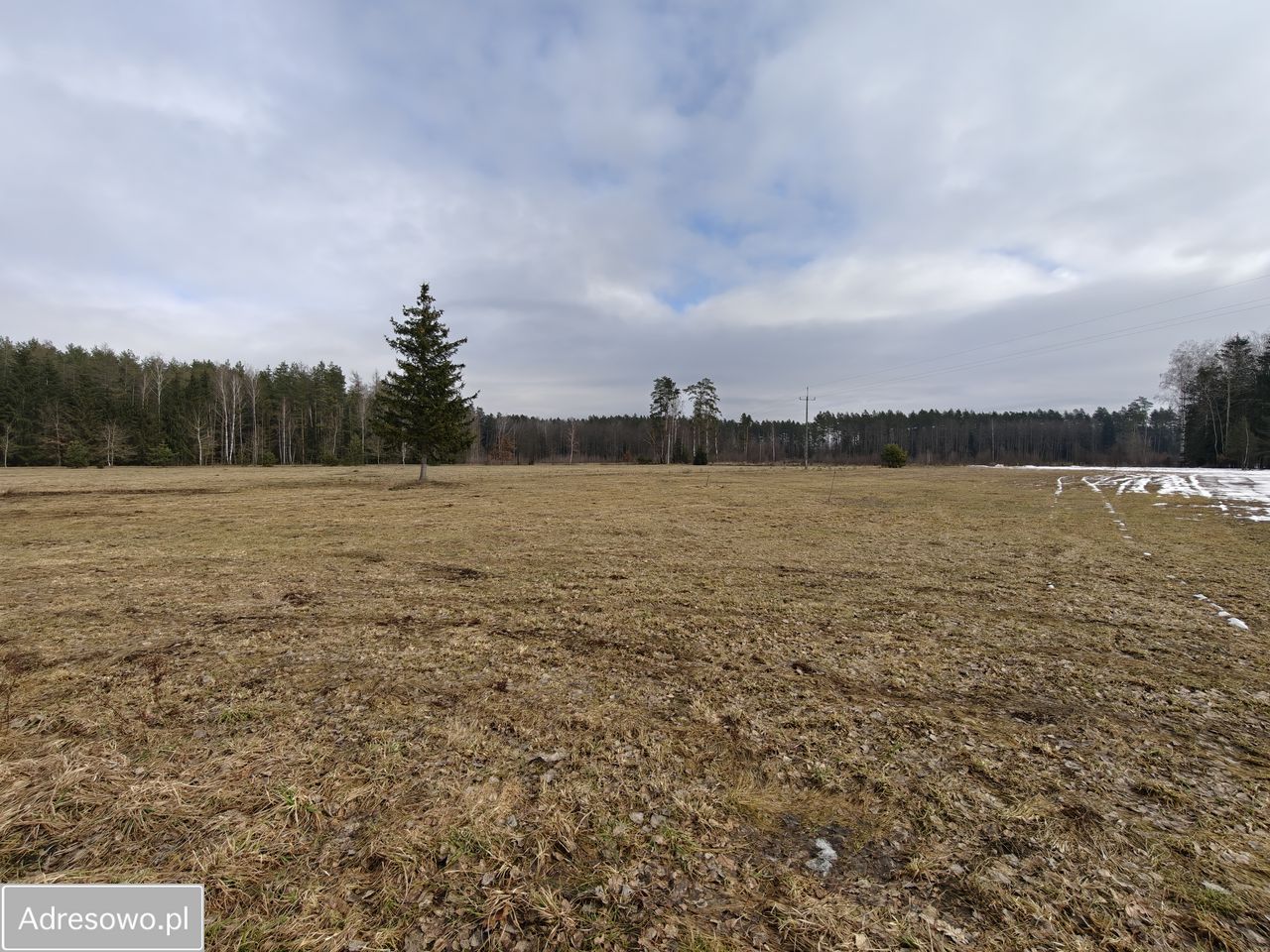 Działka rolno-budowlana Borki Rozowskie. Zdjęcie 6