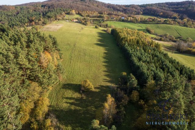 Działka inwestycyjna Kiełczawa. Zdjęcie 17