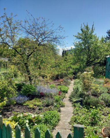 Działka rod Sopot Centrum. Zdjęcie 1