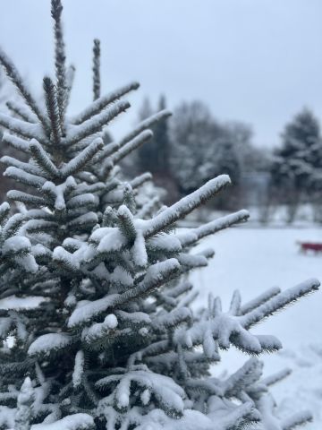 Działka rod Krępa, ul. Długa. Zdjęcie 10