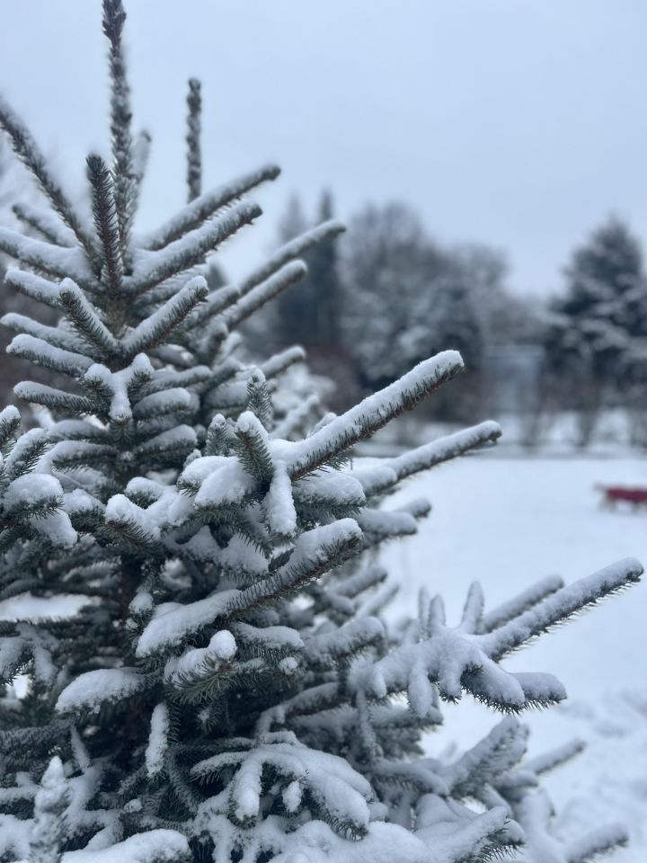 Działka rod Krępa, ul. Długa. Zdjęcie 10
