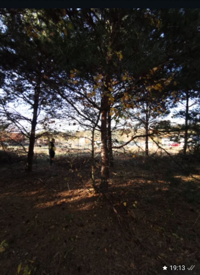 Działka budowlana Masłów, ul. Sosnowa. Zdjęcie 4