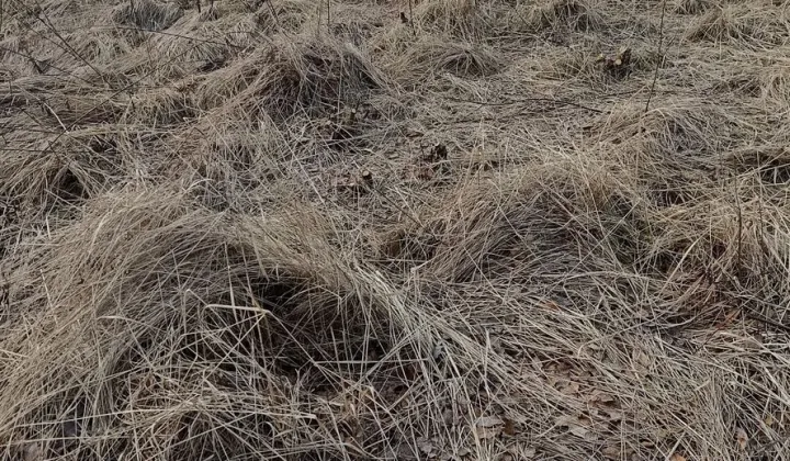 Działka budowlana Ostrów Wielkopolski, ul. Zimowa