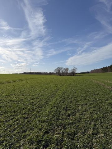 Działka rolna Łuskowo, Łuskowo. Zdjęcie 1