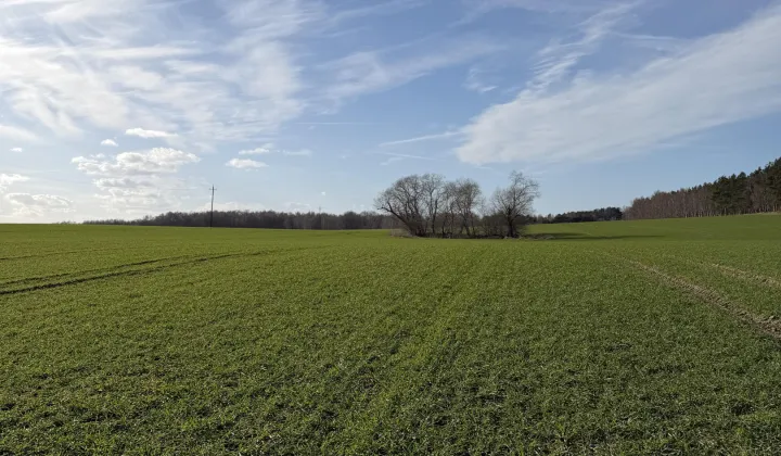 Działka rolna Łuskowo, Łuskowo