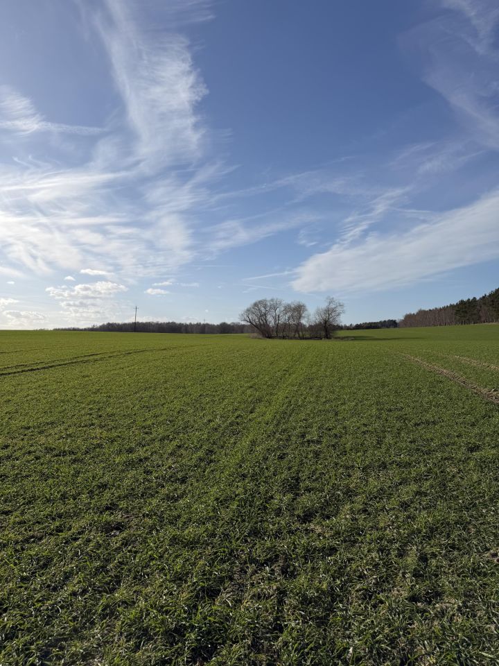 Działka rolna Łuskowo, Łuskowo. Zdjęcie 1