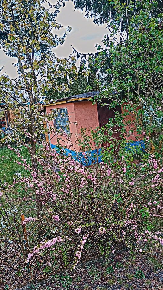 Działka rod Inowrocław, szosa Bydgoska. Zdjęcie 4