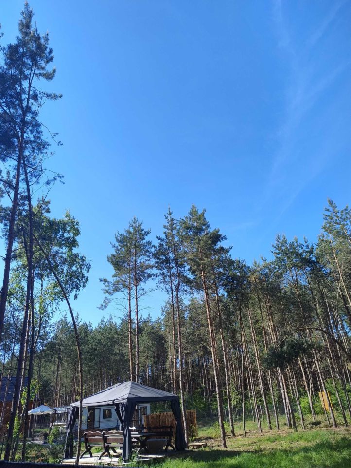 Działka rekreacyjna Adamowo. Zdjęcie 4