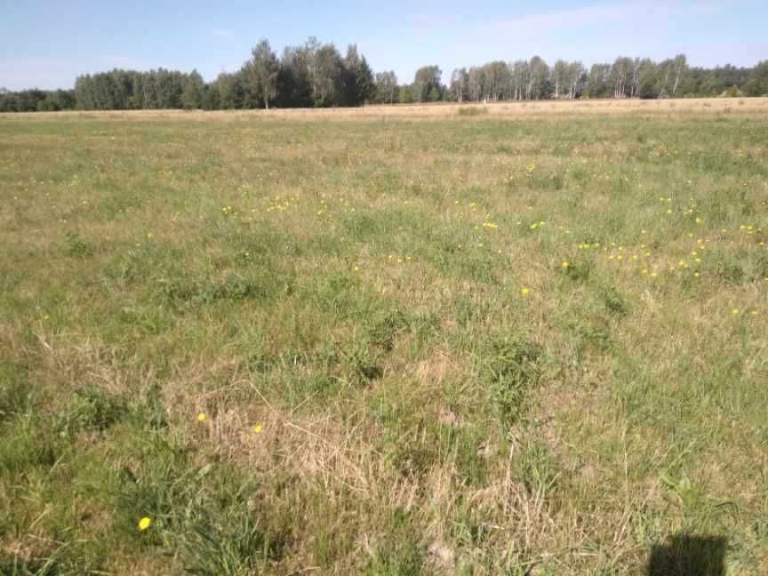 Działka budowlana Anielinek. Zdjęcie 3