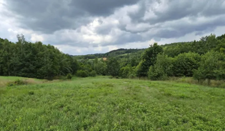 Działka rolna Błażowa Górna Wilczak