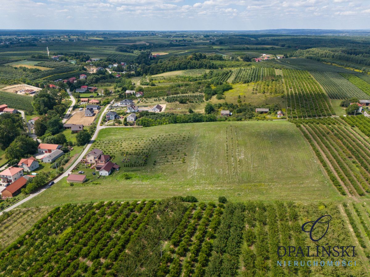 dom wolnostojący, 6 pokoi Skrzypaczowice. Zdjęcie 7