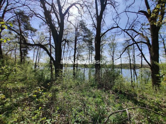 Działka rekreacyjna Łukta. Zdjęcie 10