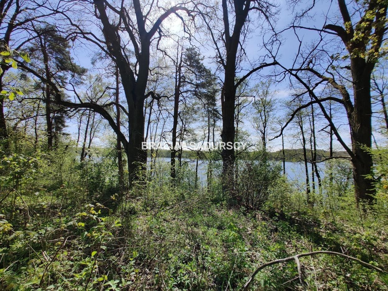 Działka rekreacyjna Łukta. Zdjęcie 10