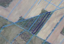 Działka leśna Koźla. Zdjęcie 1