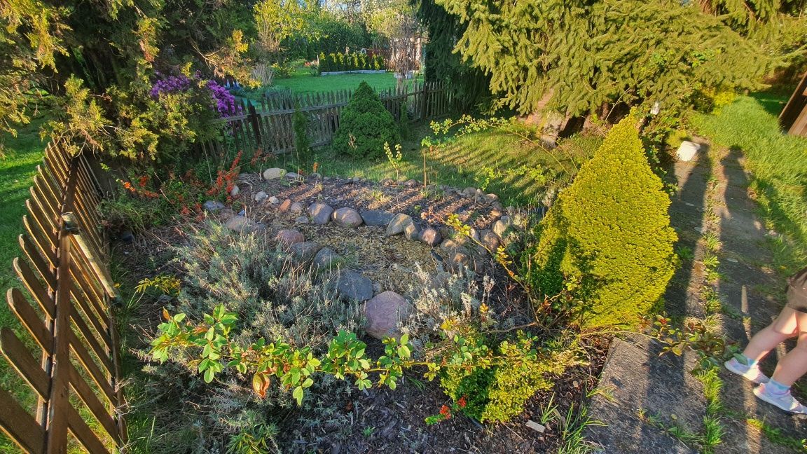 Działka rod Radomsko. Zdjęcie 7