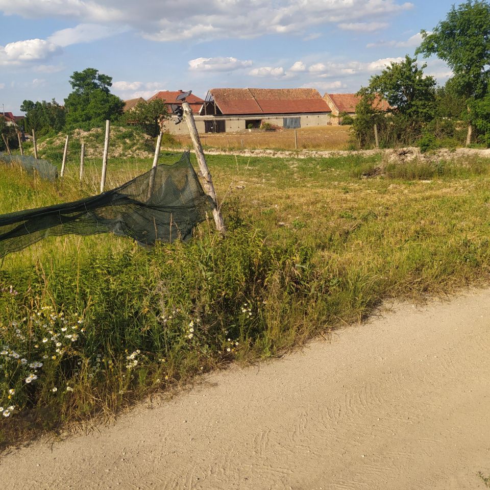 Działka siedliskowa Kulin. Zdjęcie 4