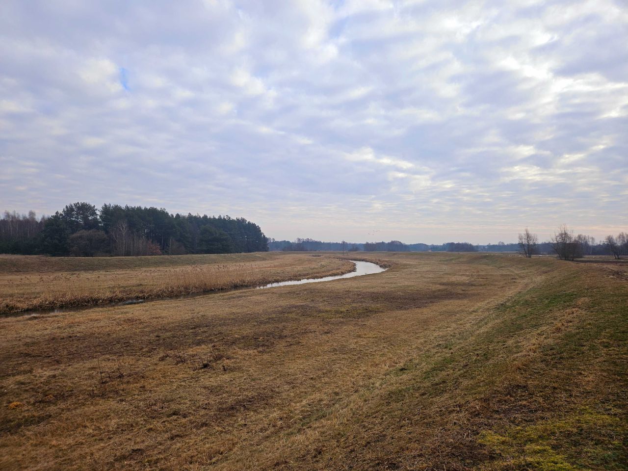 gospodarstwo Wąsosz. Zdjęcie 8