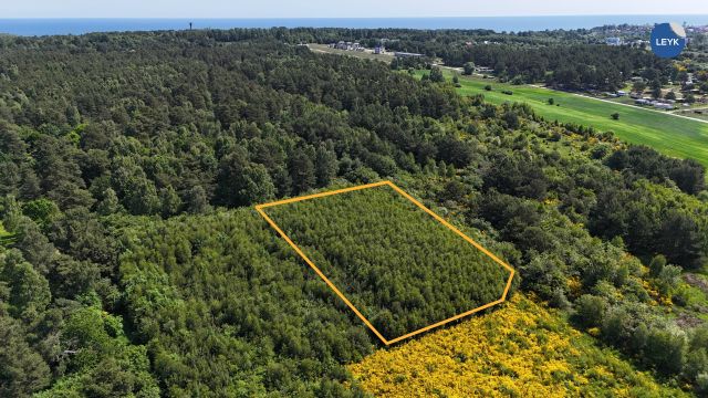 Działka rekreacyjna Chłapowo. Zdjęcie 1