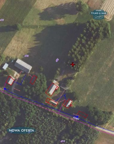 Działka siedliskowa Stefanów Ruszkowski. Zdjęcie 26