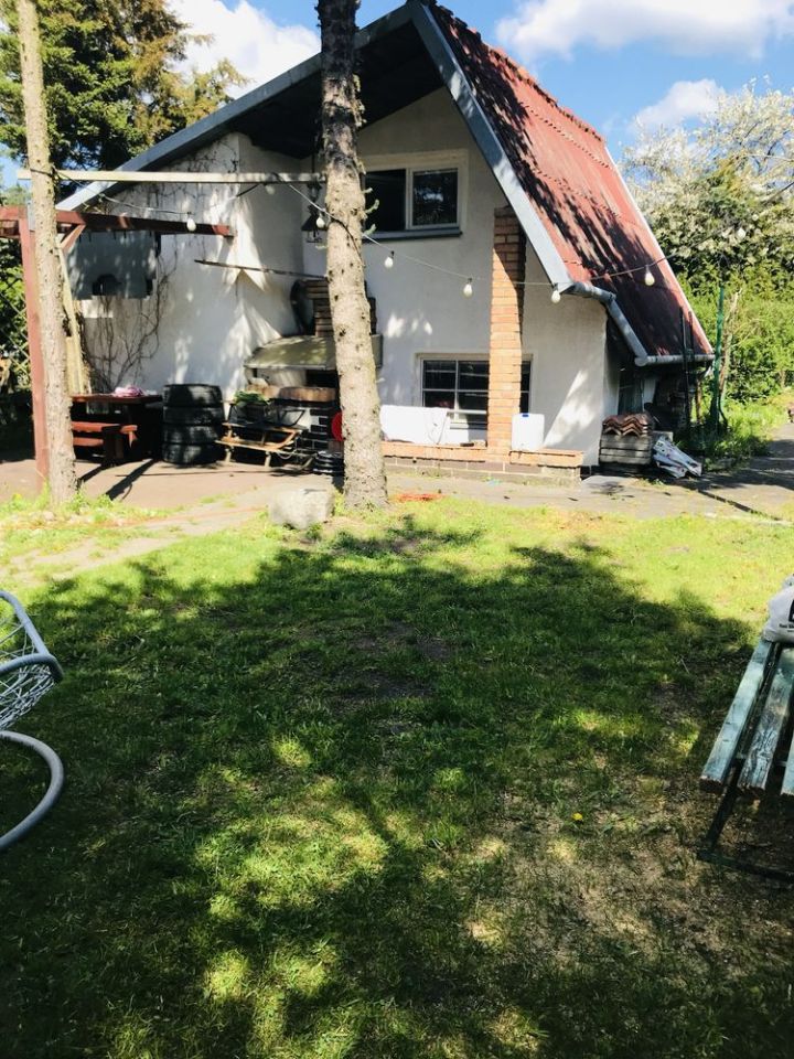 Działka rod Toruń. Zdjęcie 1