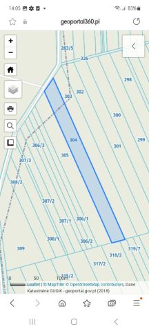 Działka leśna Suchcice. Zdjęcie 1