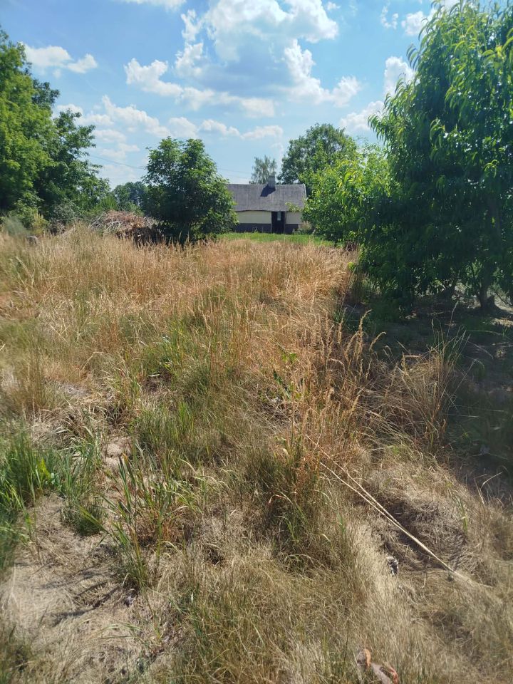 Działka rolno-budowlana Stara Gąska, Stara Gąska. Zdjęcie 15