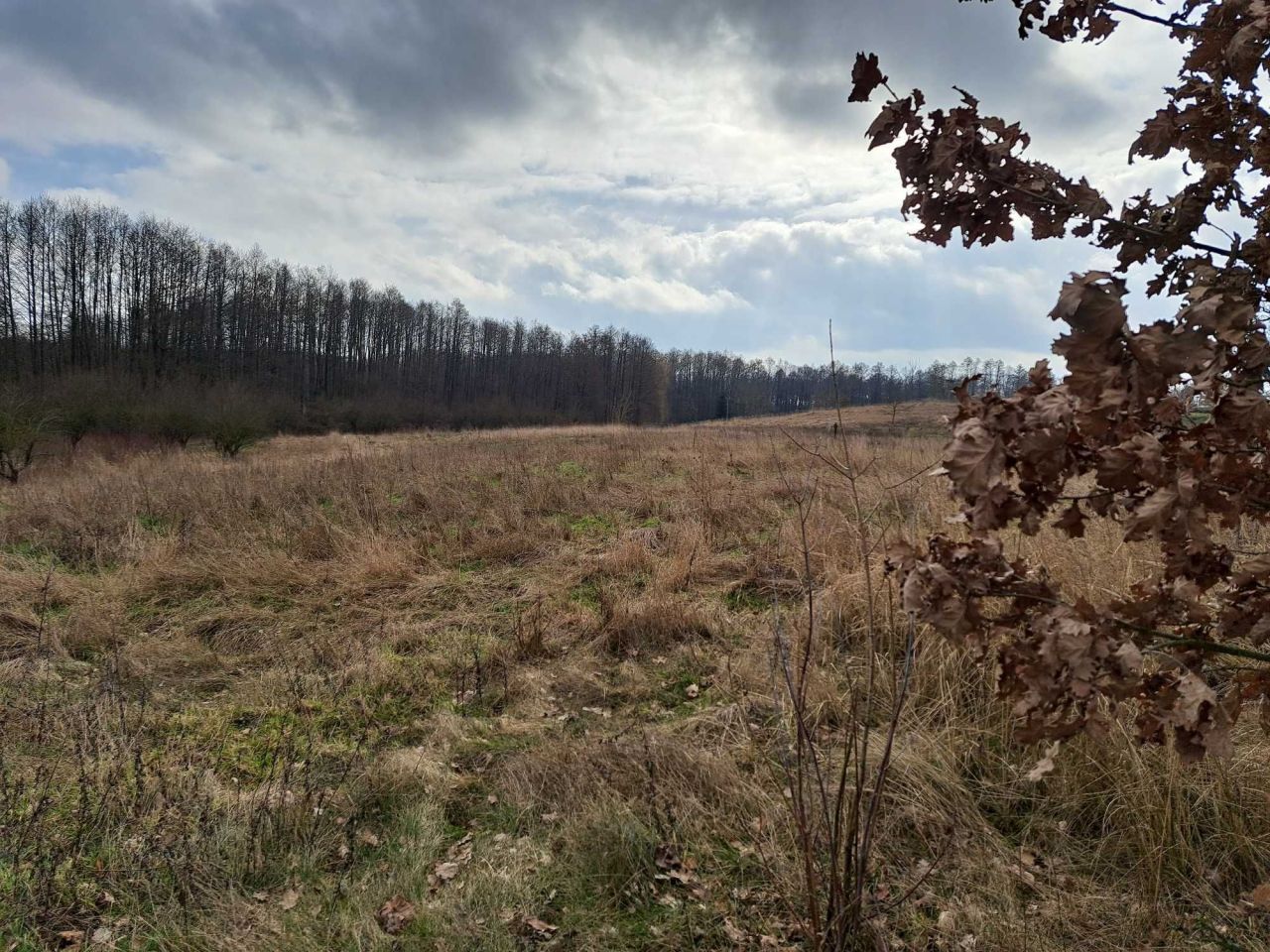 Działka budowlana Rudka. Zdjęcie 2