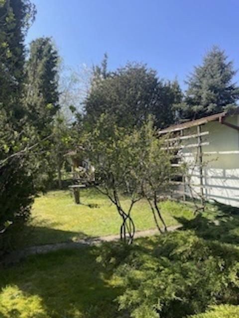 Działka rod Szałe, ul. Wiśniowa. Zdjęcie 7