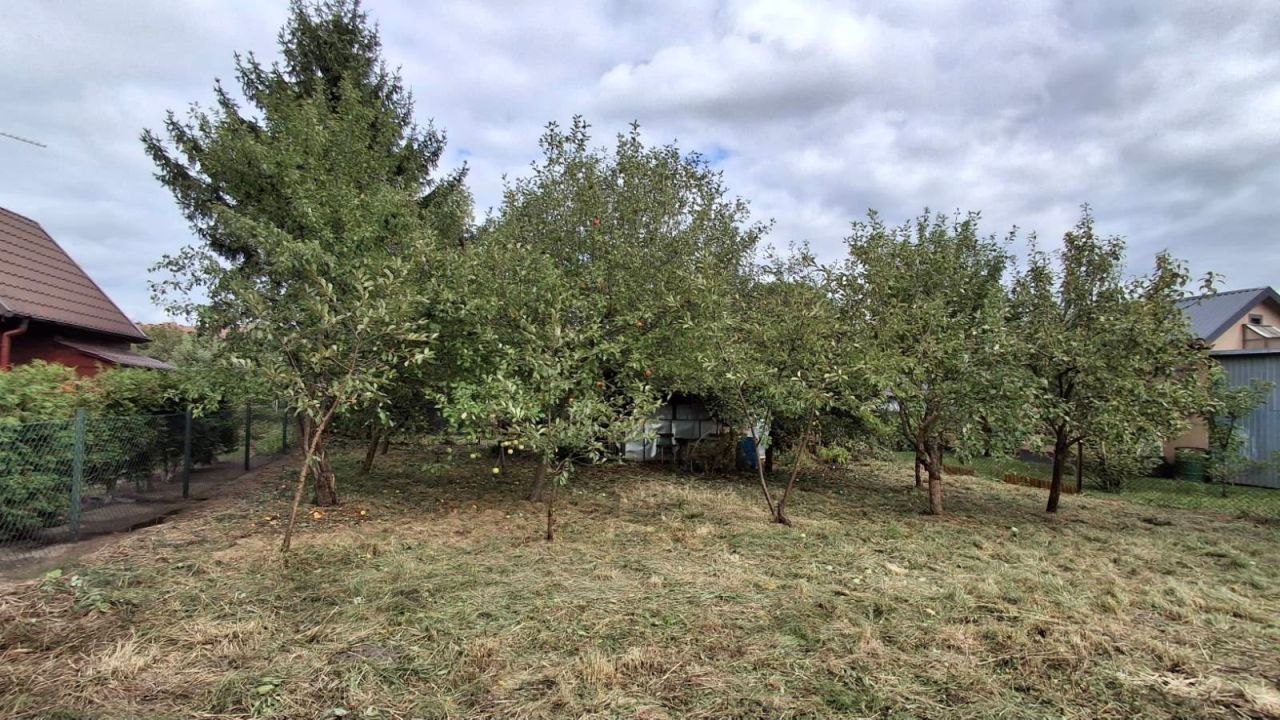 Działka rod Płońsk, ul. Szkolna. Zdjęcie 2