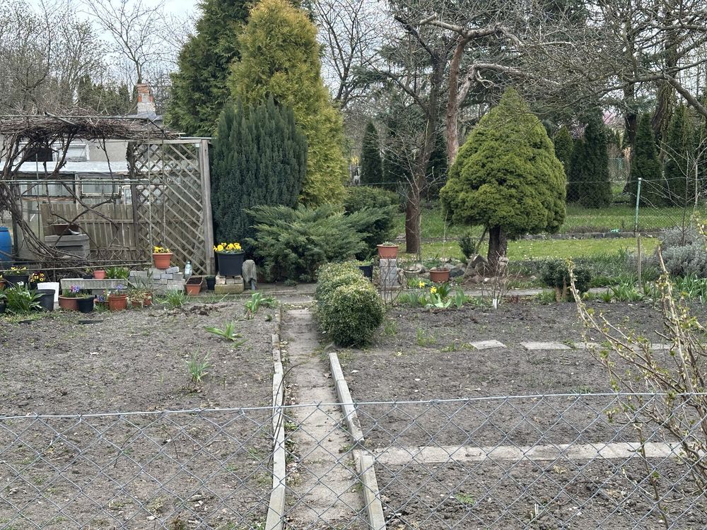 Działka rod Grudziądz, ul. Łyskowskiego. Zdjęcie 3