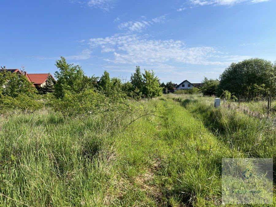 Działka inwestycyjna Wołczkowo. Zdjęcie 2