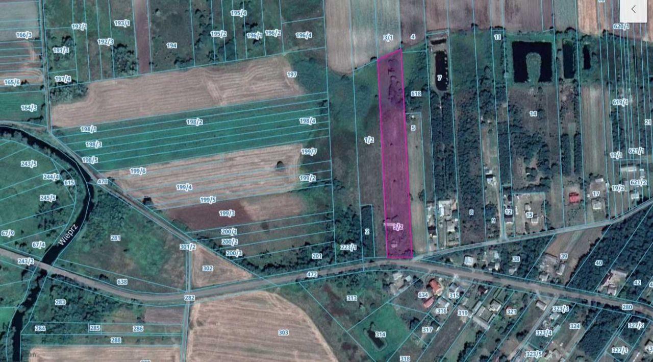 siedlisko Jaszczów-Kolonia. Zdjęcie 2