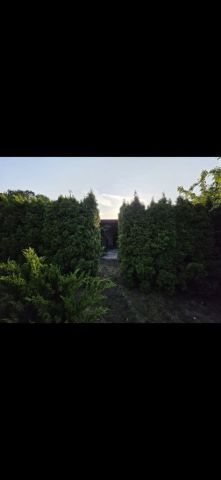 Działka rod Toruń, szosa Okrężna. Zdjęcie 1