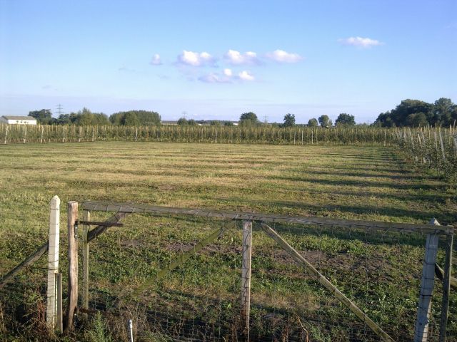 Działka rolna Nowy Miedzechów. Zdjęcie 1