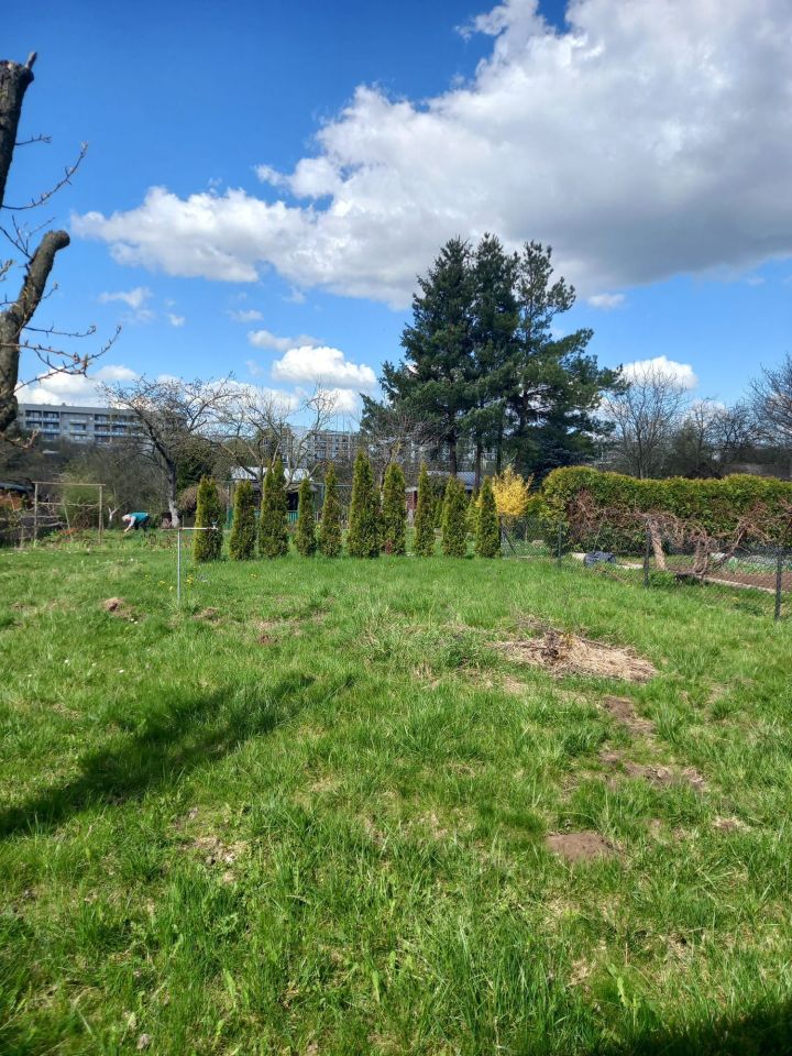 Działka rekreacyjna Lublin, ul. Bluszczowa