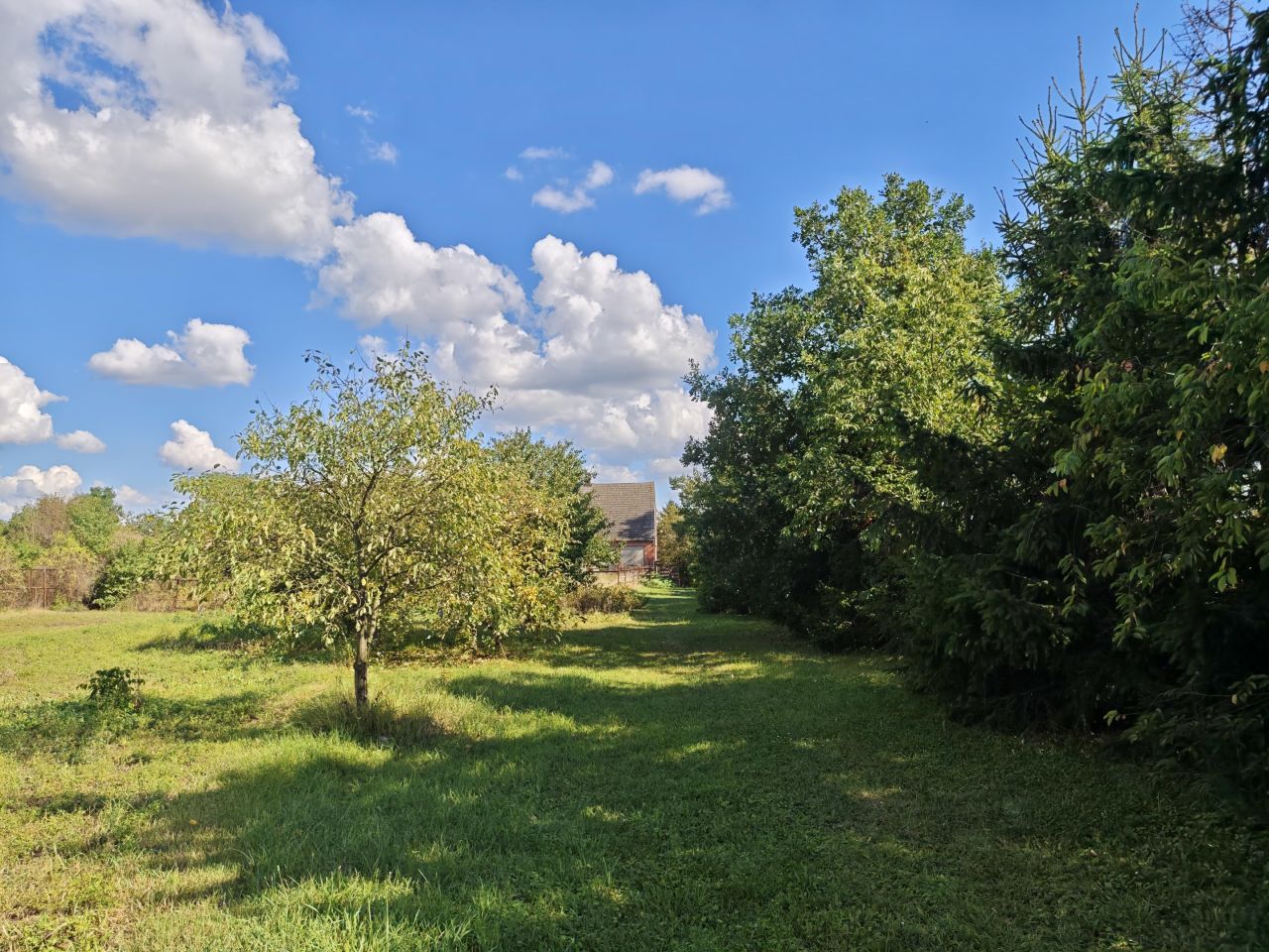 gospodarstwo, 3 pokoje Bucze. Zdjęcie 12