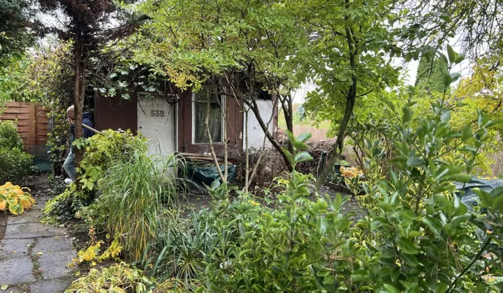 Działka rod Dąbrowa Górnicza, ul. Tysiąclecia