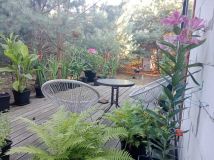 dom wolnostojący Stefanów. Zdjęcie 1