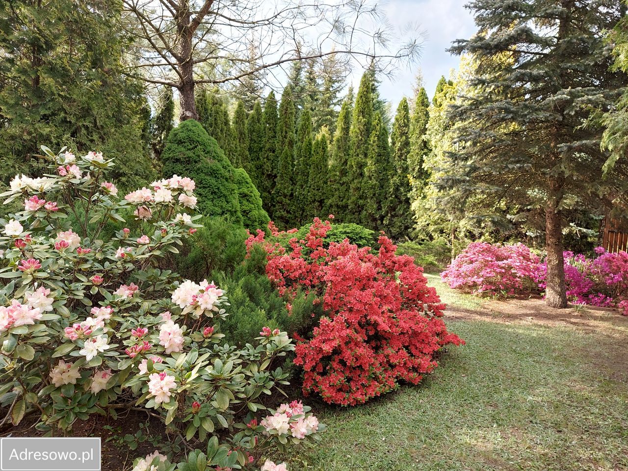 Działka rod Krępa, ul. Długa. Zdjęcie 14