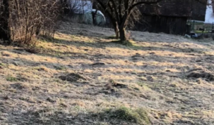 Działka rolno-budowlana Zakrzów Makówkówka
