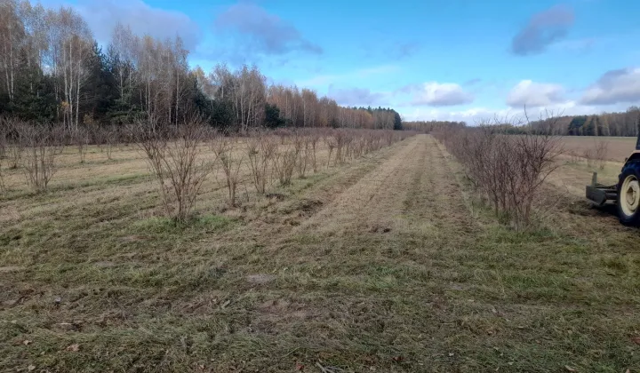 Działka rolna Styrzyniec