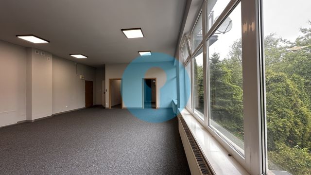 Lokal Kielce Centrum, ul. Stefana Okrzei. Zdjęcie 8