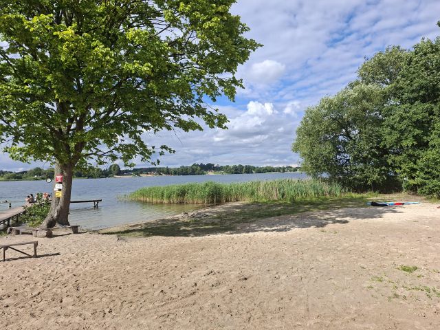 Działka rolno-budowlana Karolewo. Zdjęcie 8